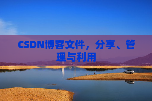 CSDN博客文件，分享、管理与利用